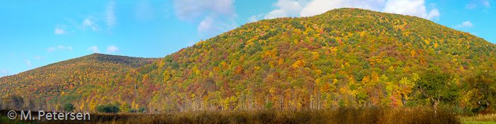 Laubfärbung - Pennsylvania