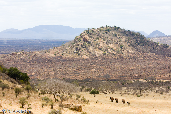 Aussicht von der Voi Lodge - Tsavo Ost Nationalpark