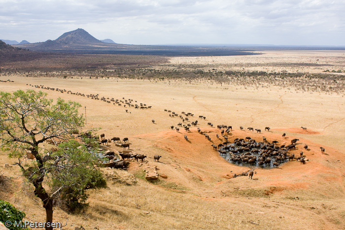 Aussicht von der Voi Lodge - Tsavo Ost Nationalpark