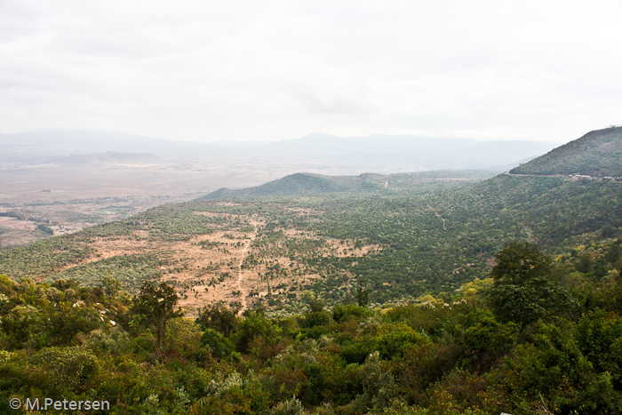 Blick in das Rift Valley