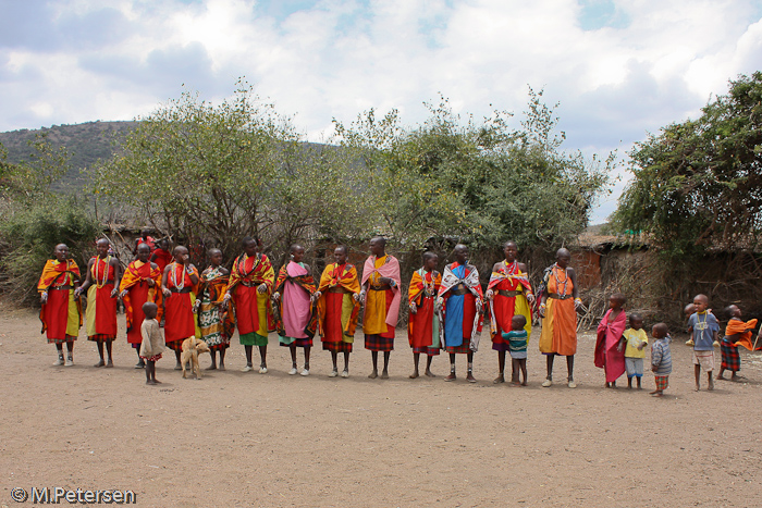 Willkommenstanz im Masai Dorf - Masai Mara