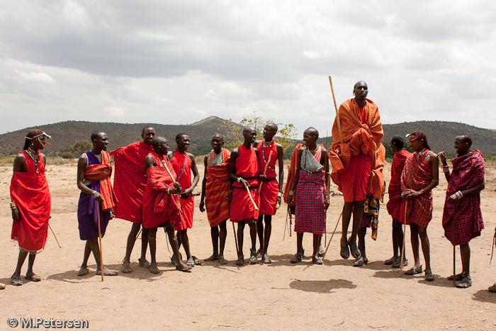 Willkommenstanz im Masai Dorf - Masai Mara