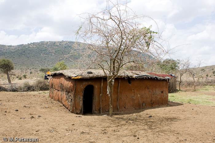 Wohnhaus im Masai Dorf - Masai Mara