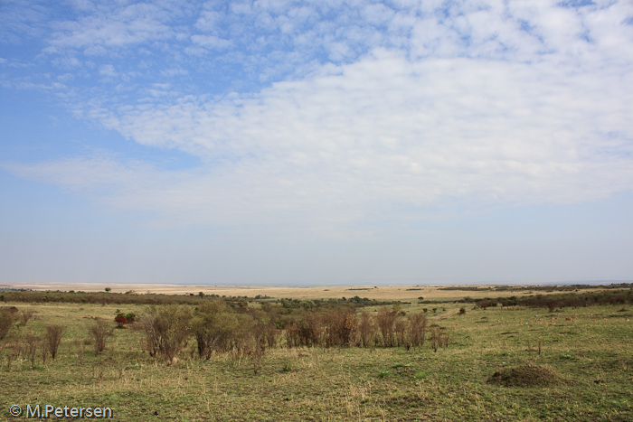 Masai Mara