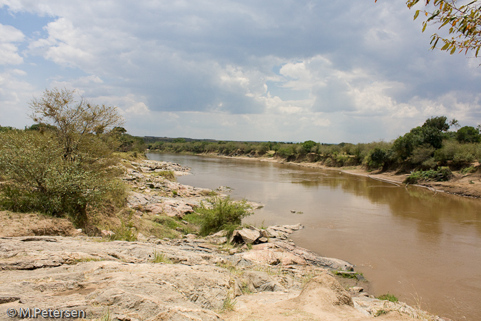 Mara Fluss - Masai Mara