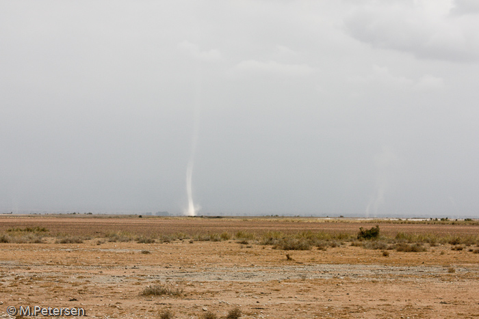 Minitornado - Amboseli Nationalpark