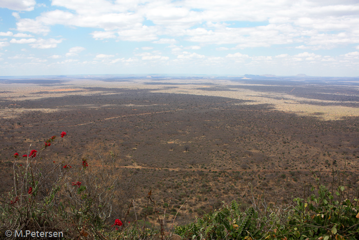 Aussicht von der Ngulia Lodge auf das Nashornschutzgebiet - Tsavo 
West Nationalpark