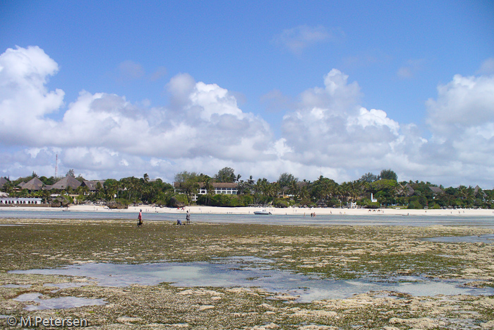 Korallenriff bei Ebbe - Diani Beach